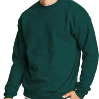 Hanes men fleece sweatshirt